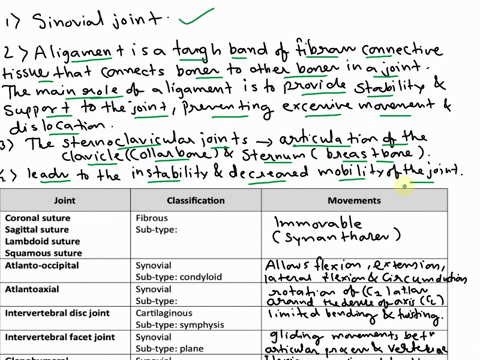 axial-and-upper-extremities-joints-joint-classification-movements-coronal-suture-sagittal-suture-lambdoid-suture-squamous-suture-atlanto-occipital-fibrous-sub-type-synovial-sub-type-condyloi-22933