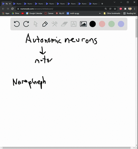 which-of-these-statements-about-autonomic-neurons-is-correct-a-they-are-motor-neurons-b-preganglioni-86524