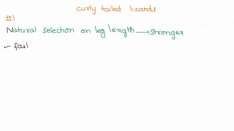 100-brown-anoles-a-type-of-lizard-on-a-large-raft-of-trees-and-other-vegetation-dislodged-by-a-hurricane-wash-ashore-an-island-with-a-large-population-of-ground-dwelling-curly-tailed-lizards-50683