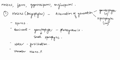compare-and-contrast-the-life-cycles-of-moss-ferns-pines-and-angiosperms-66874