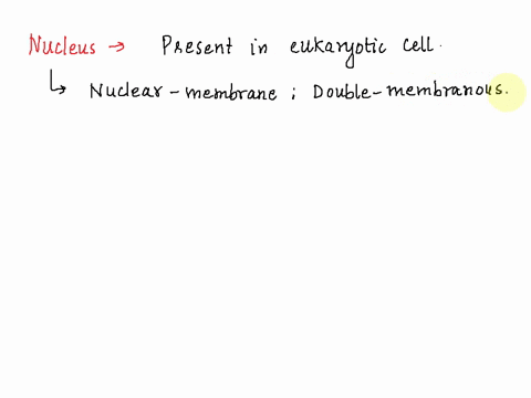 what-type-of-cell-is-a-nucleus-33382