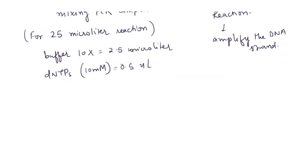 SOLVED 'QUESTIONS The PCR reactions consist of primers, cell