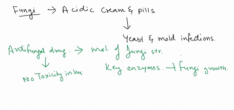 question-12-not-yet-answered-which-unique-structures-found-in-eukaryotic-fungi-make-good-targets-for-acidic-creams-and-pills-used-to-treat-yeast-and-mold-infections-points-out-of-200-select-72735
