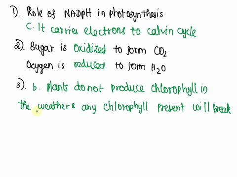 31-what-is-the-role-of-nadph-in-photosynthesis-a-its-assists-chlorophyll-in-capturing-light-energy-b-it-assists-photosystem-2-in-the-splitting-of-water-c-it-carries-electrons-to-the-calvin-c-20047
