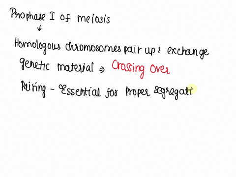 what-would-happen-if-homologous-chromosomes-did-not-pair-up-in-prophase-1-79332