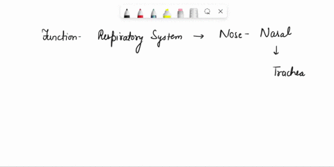 key-concepts-to-know-1-explain-the-functions-of-the-respiratory-syslem-2-identify-the-various-structures-associated-with-the-respiratory-system-3-explain-how-differences-in-pressure-between-61786