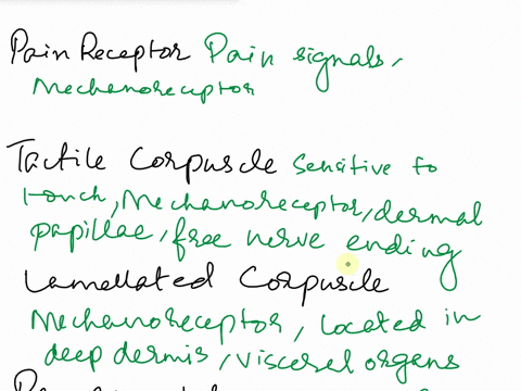 match-the-receptors-of-general-senses-with-their-descriptions-pain-receptors-tactile-corpuscles-lamellated-corpuscles-respond-to-temperatures-above-25-c-mechanoreceptors-soons-sensitive-to-l-04328