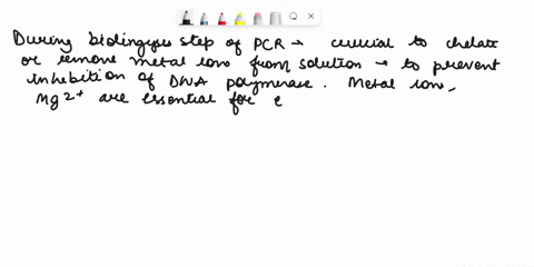 lezeon-dna-template-preparatln-focus-queetlont-why-is-necessary-chelale-the-matal-ions-from-soluton-ouing-ihe-bollingtysis-ep-c-what-would-haopen-if-you-ddnxt-use-chelating-agent-such-8-the-93504