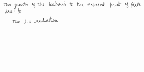 suggest-two-explanations-to-account-for-the-growth-of-the-bacteria-in-the-exposed-portions-of-the-two-plates_-do-the-incubation-conditions-light-or-dark-make-difference-in-how-these-bacteria-26133