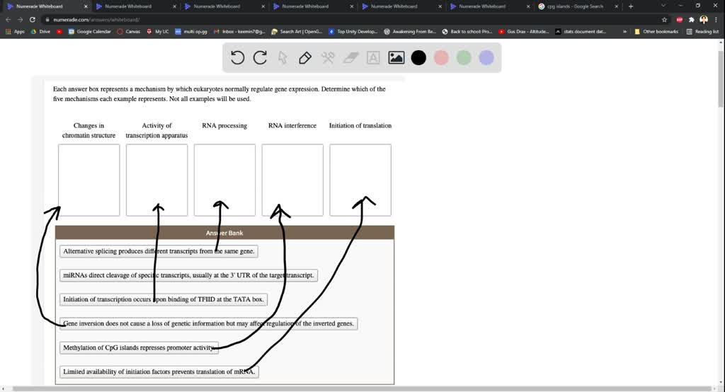 solved-each-answer-box-represents-mechanism-by-which-eukaryotes