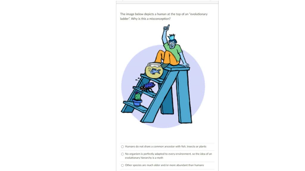 SOLVED: The image below depicts a human at the top of an 