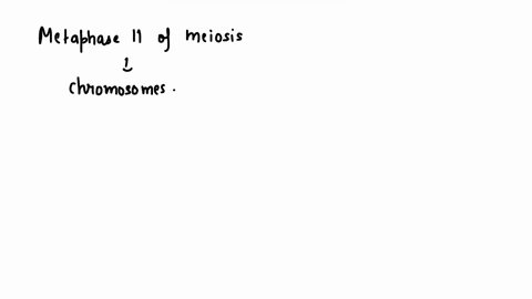 at-the-metaphase-plate-during-metaphase-li-of-meiosis-there-are-a-chromosomes-consisting-of-one-chro-94702