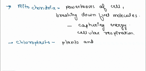 classify-each-of-the-descriptions-below-as-a-characteristic-of-mitochondria-only-chloroplasts-only-or-both-mitochondria-and-chloroplasts_-both-mitochondria-and-chloroplasts-mitochondria-only-30697