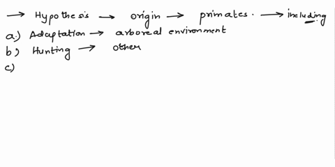 several-hypotheses-exist-to-explain-the-origin-of-primate-physical-characteristicsincluding-o-all-of-these-answers-are-true-o-adaptation-to-an-arboreal-environment-o-hunting-other-primate-sp-69853