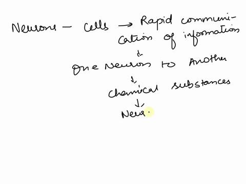 the-gap-between-two-communicating-neurons-is-termed-21496