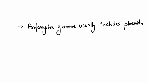 prokaryote-genomes-a-usually-include-introns-b-usually-consist-of-multiple-chromosomes-c-usually-include-plasmids-d-are-mostly-junk-dna-e-all-of-the-above-2