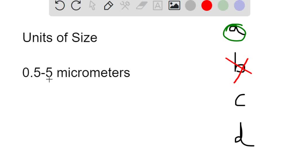 SOLVED Which metric unit is most appropriate for expressing the size