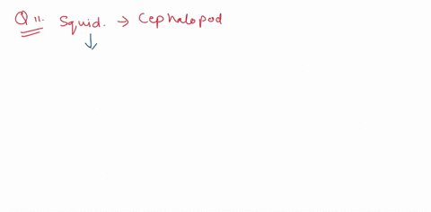 10-how-does-the-circulatory-system-of-a-squid-differ-from-that-of-a-mammal-11-why-is-the-squid-classified-as-a-cephalopod-or-head-foot-organism-12-you-observed-the-ink-sac-and-chromatophores-39867