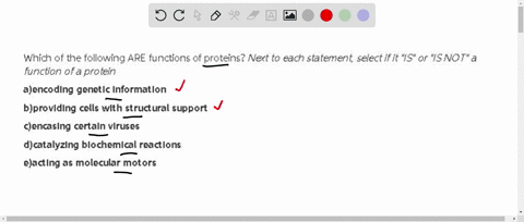which-of-the-following-are-functions-of-proteins-next-to-each-statement-select-if-it-is-or-is-not-a-function-of-a-protein-aencoding-genetic-information-bproviding-cells-with-structural-suppo-87315
