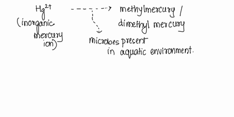 explain-how-hg2t-ion-is-transformed-into-methylmercury-and-dimethylmercury-in-aquatic-environment-why-these-organomercury-compounds-are-more-toxic-and-can-be-bioaccumulated-as-compare-to-its-95935
