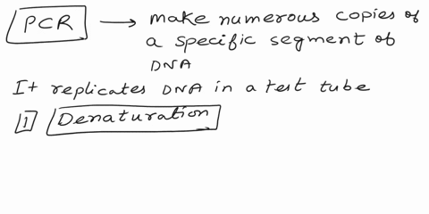 write-a-short-overview1-page-in-wordof-molecular-biology-including-the-following-1what-is-pcrpolymerase-chain-reactionhow-is-this-involved-in-dna-replication-2how-is-dna-identified-once-it-h-10787