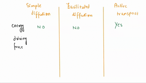 compare-and-contrast-simple-diffusion-facilitated-diffusion-and-active-transport-in-your-answer-be-sure-to-include-an-explanation-of-how-each-process-works-the-energy-cost-to-the-cell-and-gi-09977