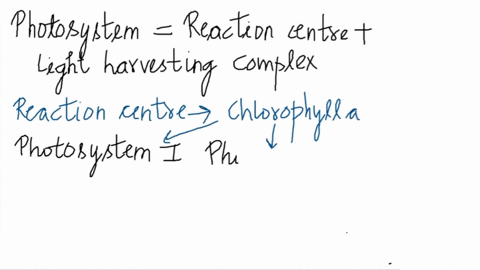 describe-what-happens-in-photosystems-1-and-2-where-in-the-chloroplast-do-the-light-reactions-take-place-what-is-cyclic-electron-transport-71725