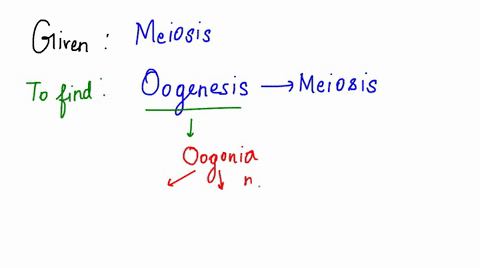 when-human-female-is-born-all-of-her-eggs-have-been-formed-and-are-arrest-that-this-stage-of-meiosis-anaphase-prophase-metaphase-anaphase-il-83902