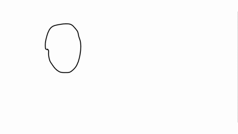 compare-and-contrast-synarthrotic-joints-with-diarthrotic-joints-by-briefly-answering-eachi-of-the-following-questions-what-is-the-difference-in-function-between-these-two-joint-types-give-o-93917