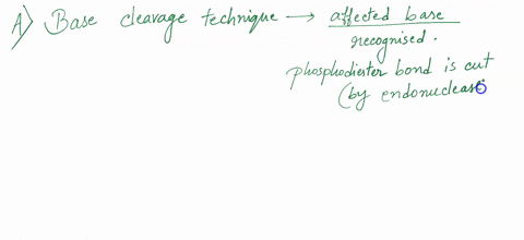 question-15-marks-15-minutes-deamination-of-cytosine-c-gives-uracil-u-discuss-howthis-chemica-damage-would-be-epaired-your-anaver-maral-with-respect-to-this-dna-repair-propos-what-would-be-d-24096