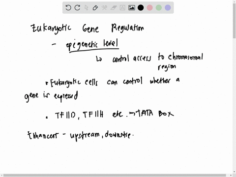 in-details-describe-the-multiple-ways-in-which-genes-are-regulated-in-eukaryotes-describe-how-each-of-the-following-increases-or-decreases-gene-expression-specific-histone-modifications-dna-99142