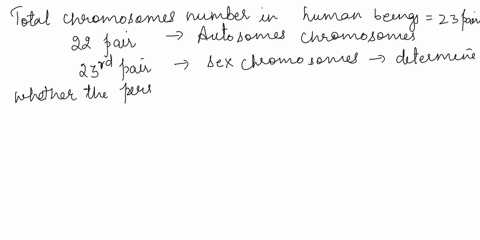 which-of-these-statements-is-false-in-humans_-each-of-the-22-maternal-autosomes-has-homologous-paterna-chromosome-in-humans_-the-23rd-pair-the-sex-chromosomes-cetermines-whether-the-person-i-88148
