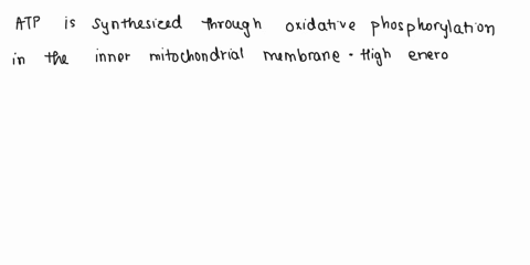 describe-how-atp-is-synthesized-in-detail-33426