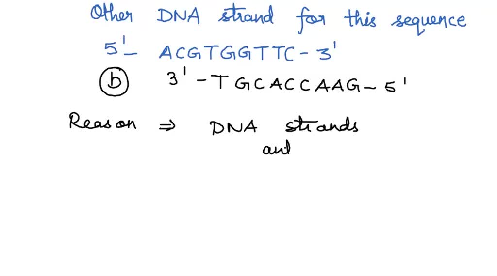 SOLVED: Below Is a template strand of DNA 3 ' - TACCGATCCATC-5' From ...