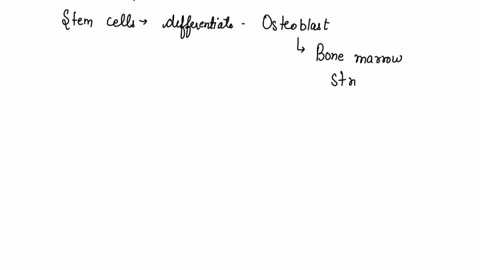 q40-stem-cells-that-can-differentiate-into-osteoblasts-are-called-________-cells-74907