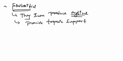 nervous-tissue-1nervous-tissue-neuronsbe-sure-to-identify-the-axondendritesschwann-cells-nodes-of-ranvier-cell-body-and-myelin-sheath-be-sure-to-study-these-fearures-on-the-model-figure-66-n-41294