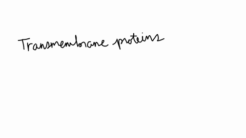 proteins-that-function-as-receptors-can-be-found-on-the-cell-membrane-as-well-as-in-the-cytoplasm