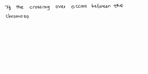 the-2-homologous-chromosomes-here-show-2-different-genes-each-with-different-alleles-and-b-and-and-b-crossing-over-occurs-between-the-chromosome-arms-at-the-arrows-during-meiosis-what-are-th-78965