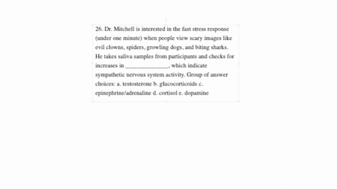 26-dr-mitchell-is-interested-in-the-fast-stress-response-under-one-minute-when-people-view-scary-images-like-evil-clowns-spiders-growling-dogs-and-biting-sharks-he-takes-saliva-samples-from-28972