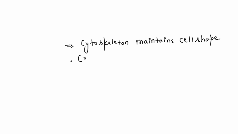 which-of-the-following-cell-structures-are-primarily-involved-in-maintaining-cell-sh-structure-correct-answers-drog-appropriate-answers-here-cytoskeleton-golgi-apparatus-nucleus-lysosomes-cell-wall-va