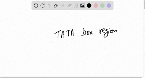 which-of-these-indicates-tata-box-region-81182