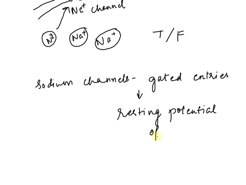 solved-true-or-false-depolarization-during-an-action-potential-is