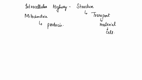 what-part-of-the-cell-serves-as-the-intracellular-highway-a-mitochondria-b-endoplasmic-reticulum-c-chloroplast-60482