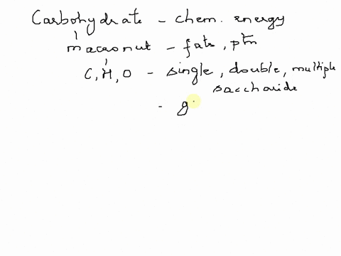 carbohydrates-are-for-chemical-energy-stable-and-efficient-stores-stable-but-inefficient-stores-unstable-short-term-stores-65425