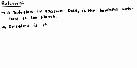 which-of-the-following-mutations-is-the-most-likely-tobe-harmful-to-a-plant-apoint-mutation-in-anrrna-gene-an-insertion-in-an-intron-of-an-enzyme-gene-a-deletion-in-spacer-dna-an-inversion-i-29972