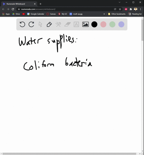 1-if-you-are-going-to-actually-observe-and-compare-microscopically-the-samples-from-a-lake-canalsewage-and-tap-water-from-faucet-what-possible-microorganism-are-common-in-all-samples-state-a-50463