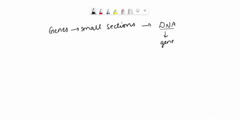 ________-are-the-fundamental-building-blocks-of-heredity-37347