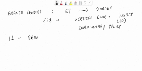 please-explain-thoroughly-how-to-determine-vertical-transfer-from-a-phylogenic-tree-explain-thourguhly-thanks-03026