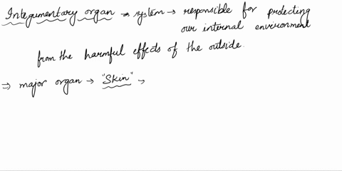 what-is-the-major-organ-of-the-integumentary-system-36035