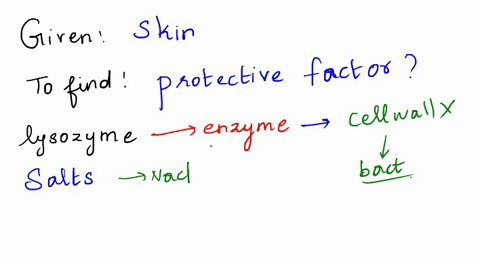 all-of-the-following-are-protective-factors-of-the-skin-and-its-secretions-except-oa-lysozyme-b-salt-keratln-d-skin-mlcrobiota-loosely-packed-cells-57466